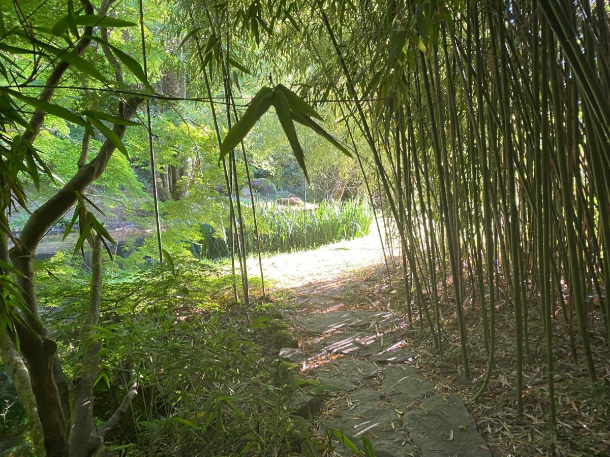 Les Moulins Du Duc Ecolodge Moelan-sur-Mer Ngoại thất bức ảnh
